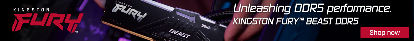 Kingston Fury Beast DDR5